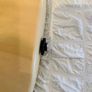Fender Squier Stratocaster (Standard Series) Image 2