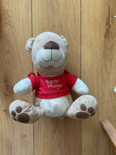Adorable Teddy Soft Toy