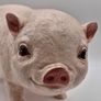 Pair of garden piglet statuet Image 9