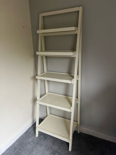 Contemporary ladder shelving unit