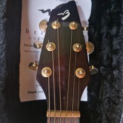 Breedlove AD25e