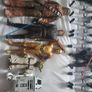 star wars Image 5