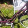 Ladies Bicycle Image 5