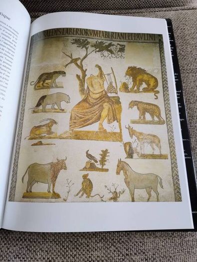 La Mosaique en Tunisie the mosaics of Tunisia large coffee table book in very good condition with no issues 270 pages with lots of pictures etc see photos FREE STANDARD POSTAGE INCLUDED