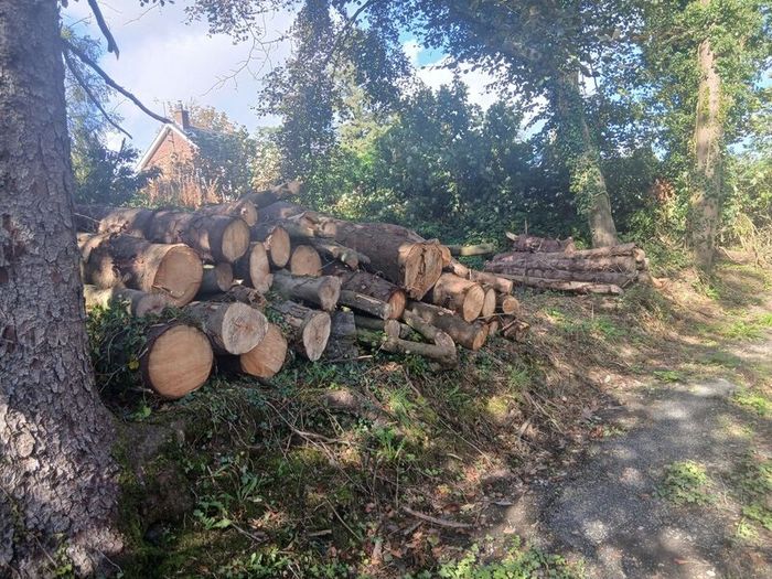 Wood