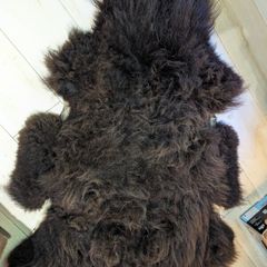 Sweden Sheepskin Rug