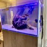 PRICE DROP Aqua spec 280litre with Aqua spec Grey tall stand 2 filters and lights cichlid tank Image 7