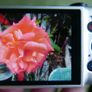 Canon Ixus 132 Digital Compact Camera Working w/Canon 8x Optical Zoom Lens (charger and SD card) Image 2