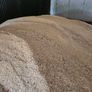 Pea/Barley combi crop, rolled and treated Image 3