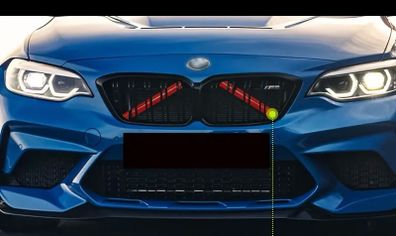 BMW Trim V bar front grill