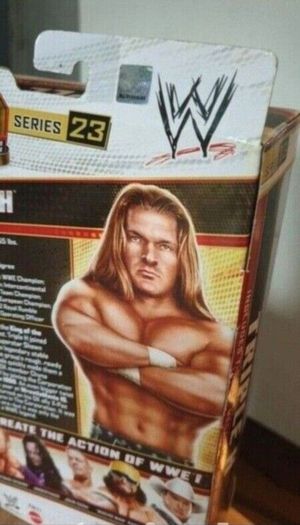 Wwe elite Triple H DX series 23 Mattel