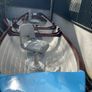 19ft Davidson lake boat Image 2