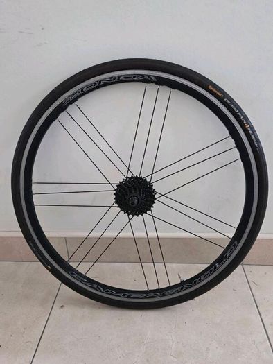 Giant Tcr Advanced Carbon + Campagnolo Zonda Whls