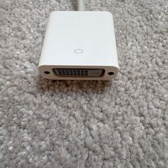 Mini Display Port Adapter