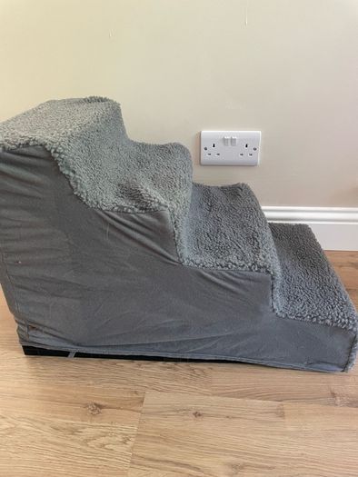 dog steps