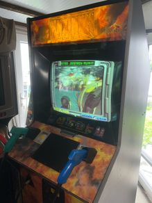 Maximum force Arcade machine