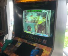 Maximum force Arcade machine
