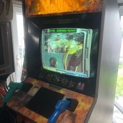 Maximum force Arcade machine