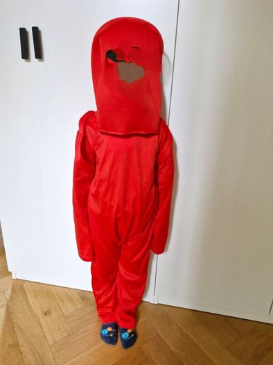halloween  costume  among us