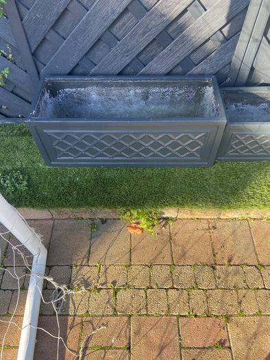 flower planter