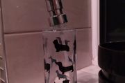 glass dog soap dispenser