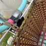 18 inch verve bike with basket Image 6