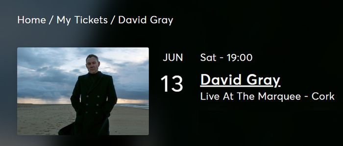 David Gray Live At The Marquee - Cork | 2 Tickets
