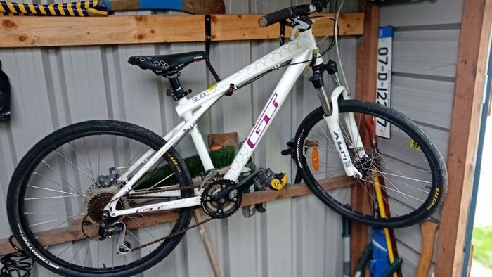 Mountain Bike