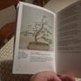Indoor Bonsai .Softcover.  Paul Lesniewicz Image 5