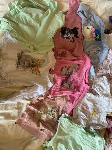 Girls Clothes Bundle 2-3 years 42 items