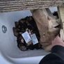 Established Wormery Image 3
