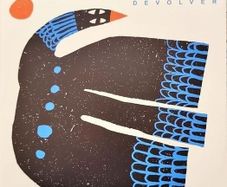 Ryan Adams Devolver Sealed vinyl