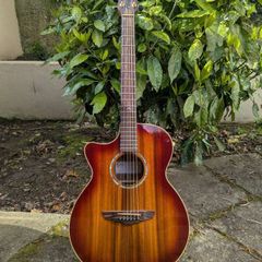 Faith Venus Blood Moon Left Handed Guitar
