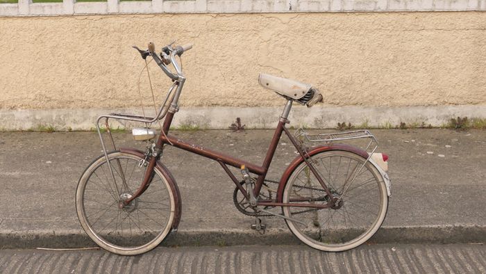 Irish Built Raleigh Twenty