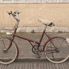 Irish Built Raleigh Twenty