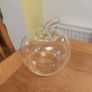 Plant terrarium Image 2