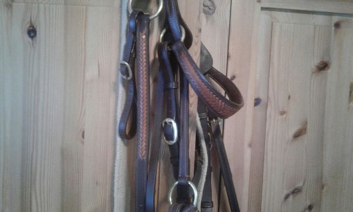Bridle /bitless
