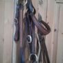Bridle /bitless Image 4
