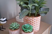 Artificial plants