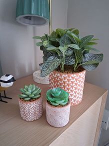 Artificial plants