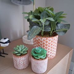 Artificial plants