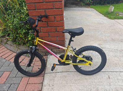 Apollo Kids Bike 16 inch