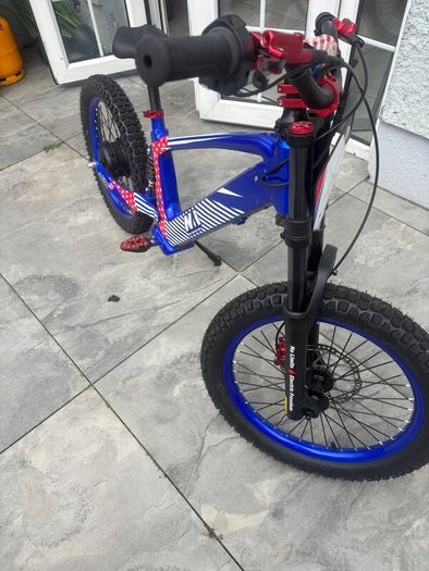 Electric bike