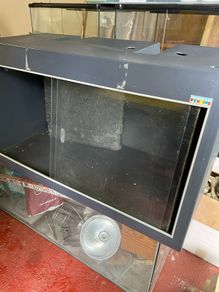 Reptile Vivarium