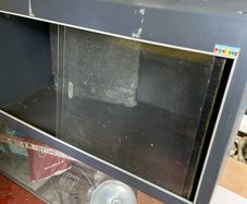 Reptile Vivarium