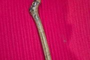 Traditional Irish Whitethorn Walking Cane / Rambling  stick (94cm