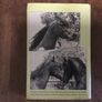 Books ( The Horse's Mind) Image 2