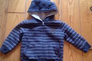 As New Tommy Hilfiger Lined Hoodie