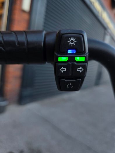 Electric Scooter Dualtron Togo Plus