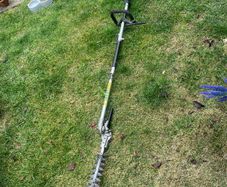 hedge cutter